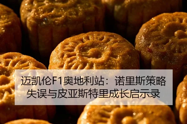 mai-kai-lun-ao-di-li-zhan-nuo-li-si-ce-lve-shi-wu-yu-pi-ya-si-te-li-cheng-zhang-qi-shi-lu-2-846.jpg