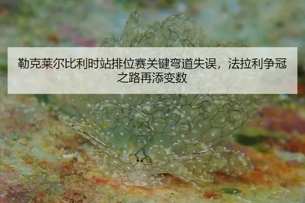 勒克莱尔比利时站排位赛关键弯道失误，法拉利争冠之路再添变数