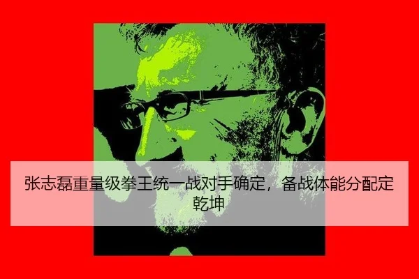 zhang-zhi-lei-zhong-liang-ji-quan-wang-tong-yi-zhan-dui-shou-que-ding-bei-zhan-ti-neng-fen-pei-ding-qian-kun-2-477.jpg