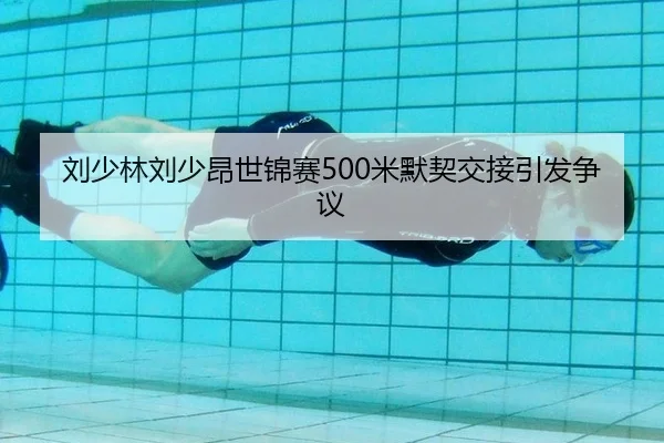 刘少林刘少昂世锦赛500米默契交接引发争议