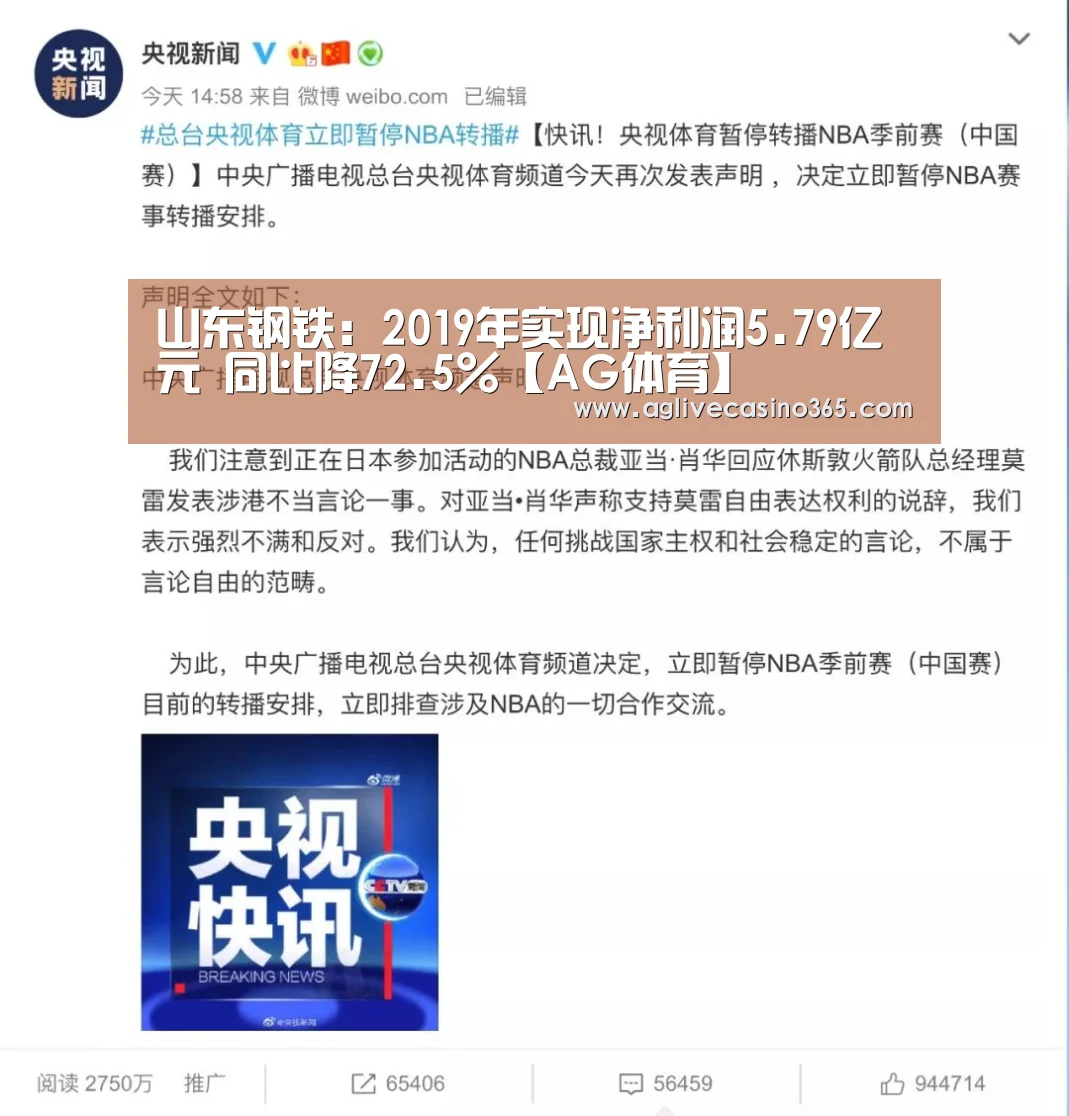山东钢铁:2019年实现净利润5.79亿元 同比降72.5%【AG体育】(图4) AG登录