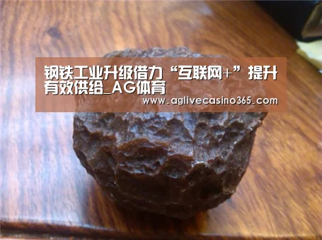 钢铁工业升级借力“互联网+”提升有效供给_AG体育(图2) AG体育