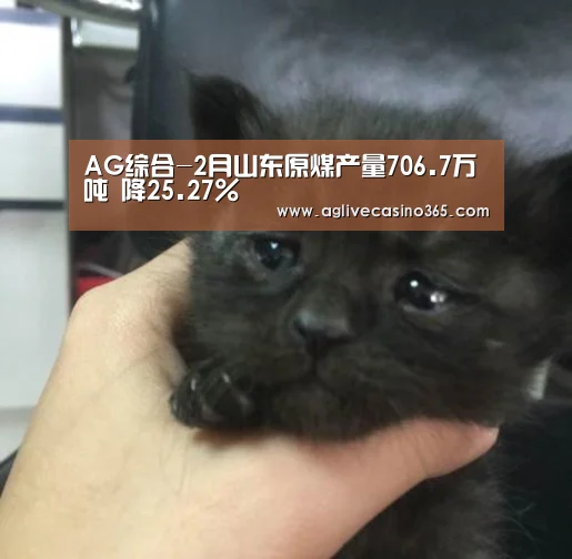 AG综合-2月山东原煤产量706.7万吨 降25.27%(图1) AG体育