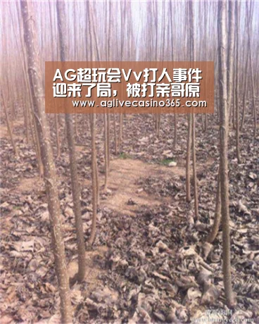 AG综合