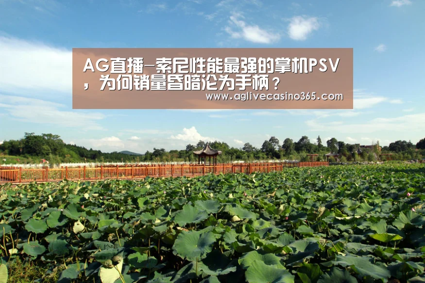 AG直播-索尼性能最强的掌机PSV,为何销量昏暗沦为手柄?(图4) AG直播