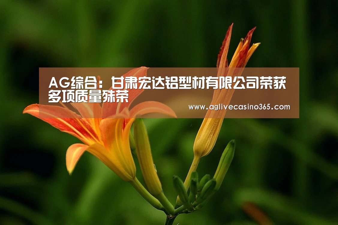 AG综合:甘肃宏达铝型材有限公司荣获多项质量殊荣(图3) AG体育
